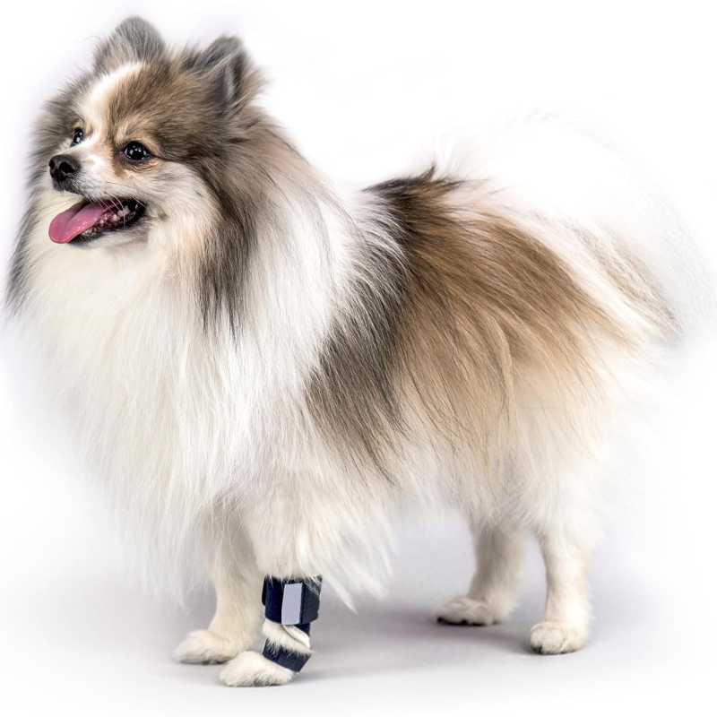Karpal Hiperekstansiyon Köpek  - Ankle Mobility Band incelemesi ve fiyatı