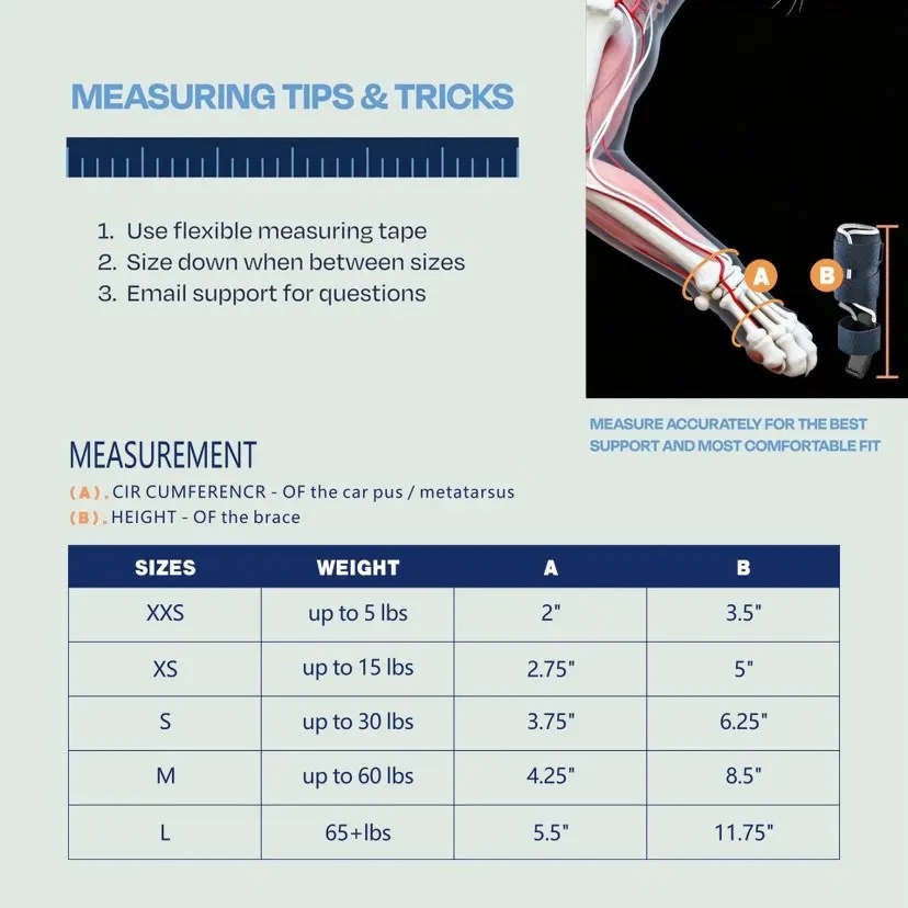 Karpal Hiperekstansiyon Köpek  - Ankle Mobility Band incelemesi ve fiyatı